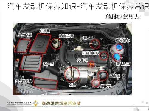 汽车发动机保养知识-汽车发动机保养常识