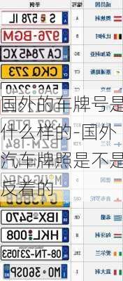 国外的车牌号是什么样的-国外汽车牌照是不是反着的