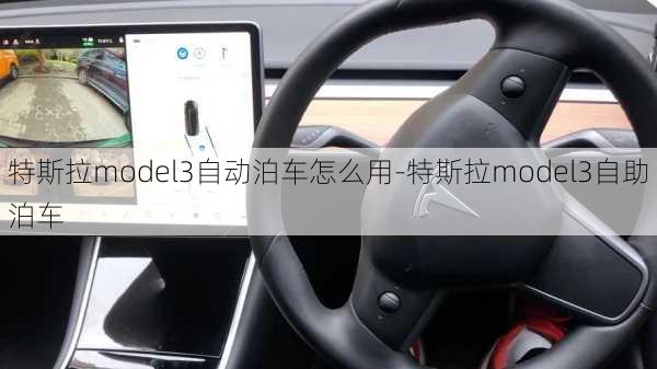 特斯拉model3自动泊车怎么用-特斯拉model3自助泊车