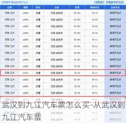 武汉到九江汽车票怎么买-从武汉到九江汽车票