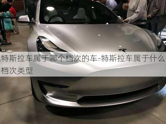 特斯拉车属于哪个档次的车-特斯拉车属于什么档次类型