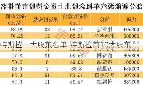 特斯拉十大股东名单-特斯拉前10大股东