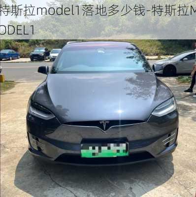 特斯拉model1落地多少钱-特斯拉MODEL1