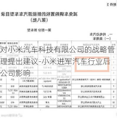 对小米汽车科技有限公司的战略管理提出建议-小米进军汽车行业后公司影响