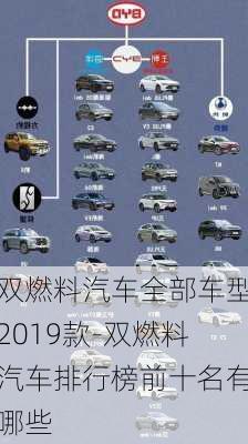 双燃料汽车全部车型2019款-双燃料汽车排行榜前十名有哪些