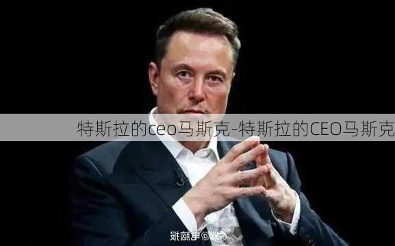 特斯拉的ceo马斯克-特斯拉的CEO马斯克