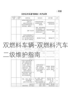 双燃料车辆-双燃料汽车二级维护指南