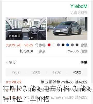 特斯拉新能源电车价格-新能源特斯拉汽车价格