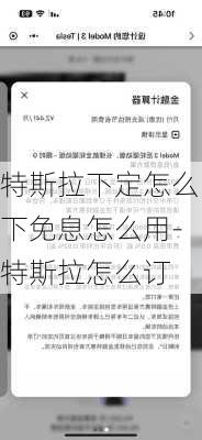 特斯拉下定怎么下免息怎么用-特斯拉怎么订