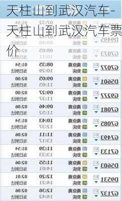 天柱山到武汉汽车-天柱山到武汉汽车票价