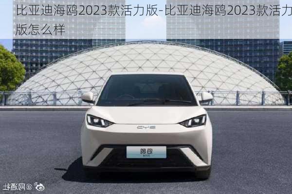 比亚迪海鸥2023款活力版-比亚迪海鸥2023款活力版怎么样