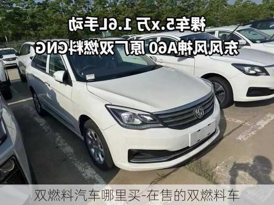 双燃料汽车哪里买-在售的双燃料车