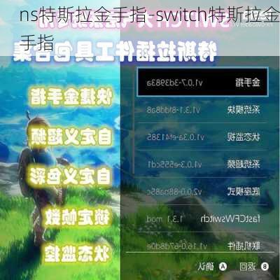 ns特斯拉金手指-switch特斯拉金手指