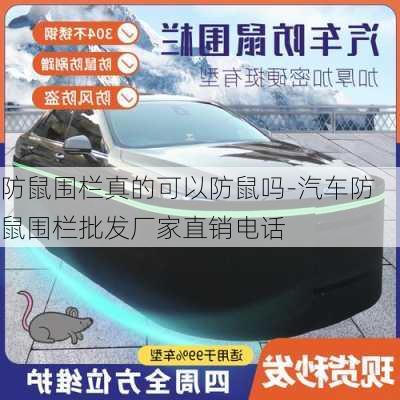 防鼠围栏真的可以防鼠吗-汽车防鼠围栏批发厂家直销电话