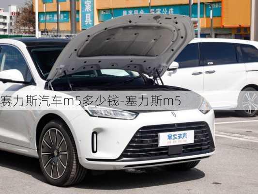 赛力斯汽车m5多少钱-塞力斯m5