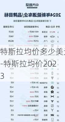 特斯拉均价多少美元-特斯拉均价2023