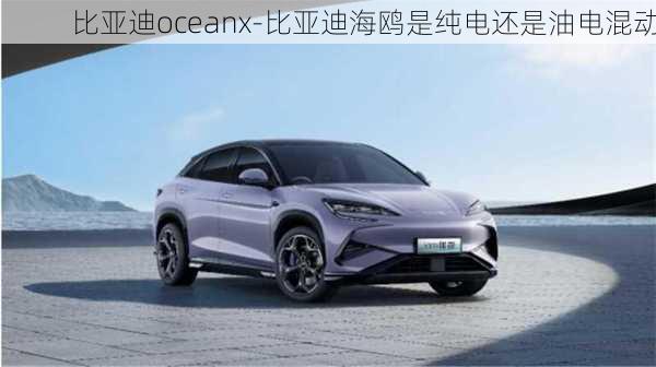 比亚迪oceanx-比亚迪海鸥是纯电还是油电混动