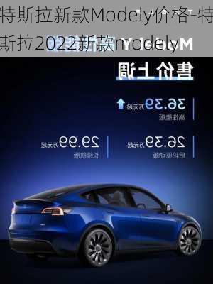 特斯拉新款Modely价格-特斯拉2022新款modely