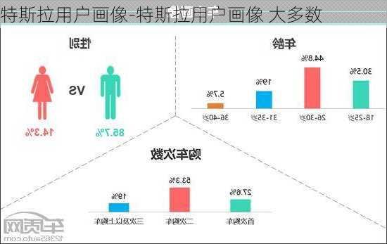 特斯拉用户画像-特斯拉用户画像 大多数