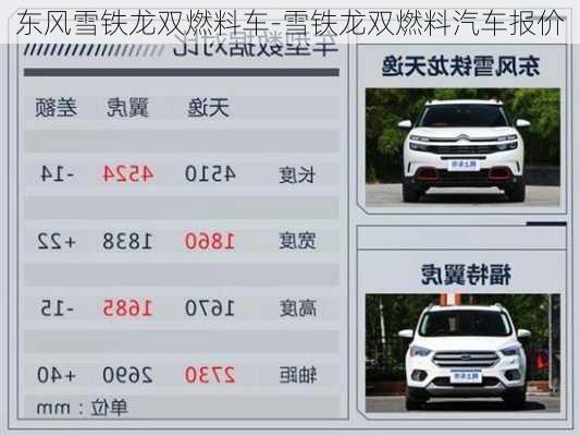 东风雪铁龙双燃料车-雪铁龙双燃料汽车报价