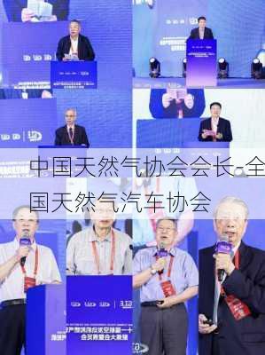 中国天然气协会会长-全国天然气汽车协会