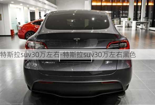 特斯拉suv30万左右-特斯拉suv30万左右黑色