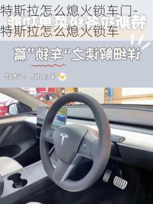 特斯拉怎么熄火锁车门-特斯拉怎么熄火锁车