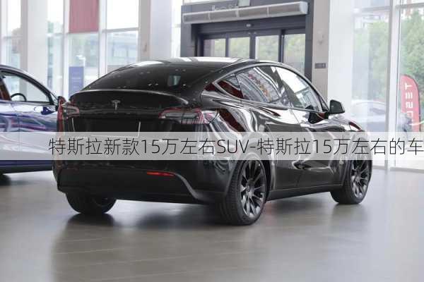 特斯拉新款15万左右SUV-特斯拉15万左右的车