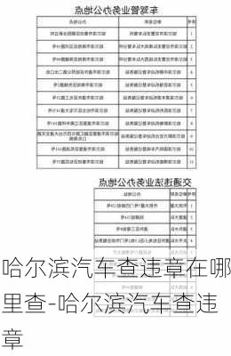 哈尔滨汽车查违章在哪里查-哈尔滨汽车查违章