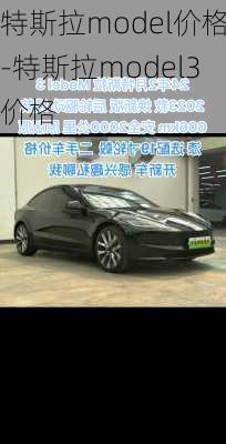 特斯拉model价格-特斯拉model3价格