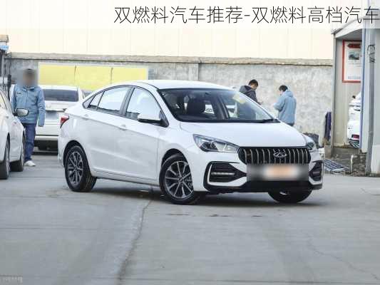 双燃料汽车推荐-双燃料高档汽车