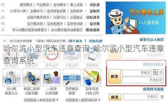 哈尔滨小型汽车违章查询-哈尔滨小型汽车违章查询系统