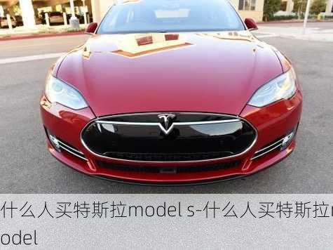 什么人买特斯拉model s-什么人买特斯拉model