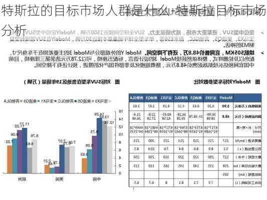 特斯拉的目标市场人群是什么-特斯拉目标市场分析