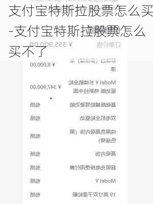 支付宝特斯拉股票怎么买-支付宝特斯拉股票怎么买不了