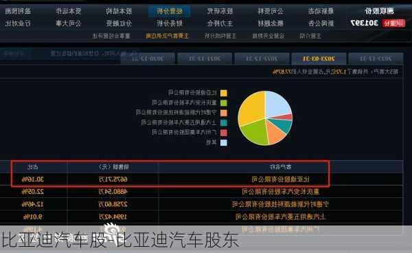 比亚迪汽车股-比亚迪汽车股东