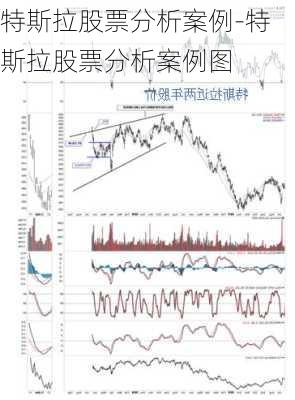 特斯拉股票分析案例-特斯拉股票分析案例图