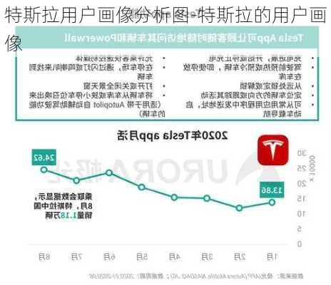 特斯拉用户画像分析图-特斯拉的用户画像