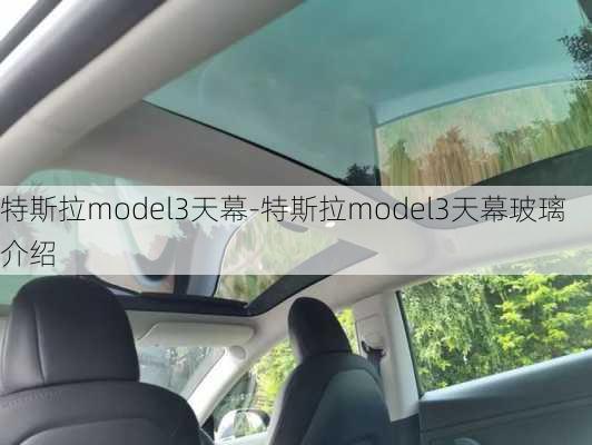 特斯拉model3天幕-特斯拉model3天幕玻璃介绍