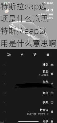 特斯拉eap选项是什么意思-特斯拉eap试用是什么意思啊