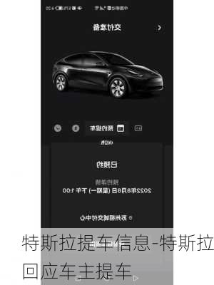 特斯拉提车信息-特斯拉回应车主提车