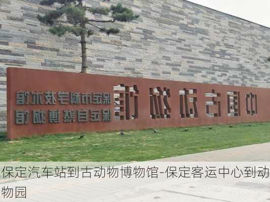 保定汽车站到古动物博物馆-保定客运中心到动物园