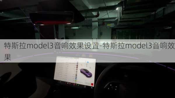 特斯拉model3音响效果设置-特斯拉model3音响效果