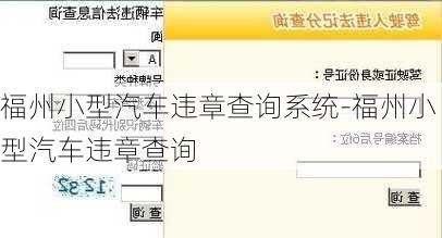 福州小型汽车违章查询系统-福州小型汽车违章查询