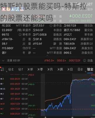 特斯拉股票能买吗-特斯拉的股票还能买吗