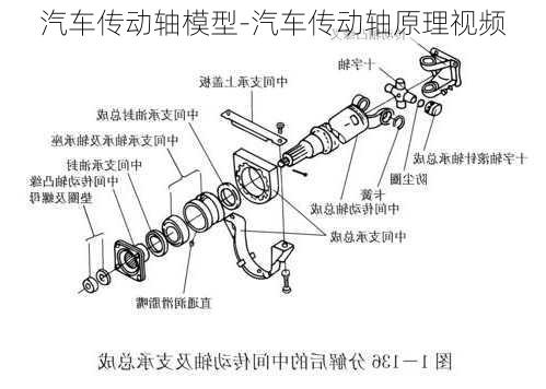 汽车传动轴模型-汽车传动轴原理视频