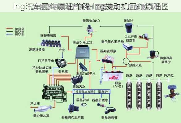 lng汽车工作原理详解-lng发动机工作原理图