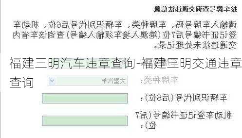 福建三明汽车违章查询-福建三明交通违章查询