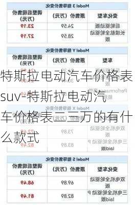 特斯拉电动汽车价格表suv-特斯拉电动汽车价格表二三万的有什么款式