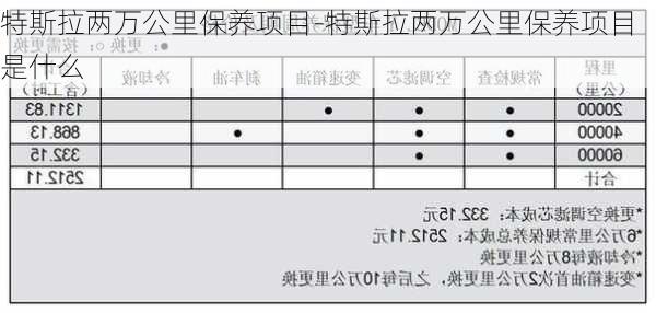 特斯拉两万公里保养项目-特斯拉两万公里保养项目是什么